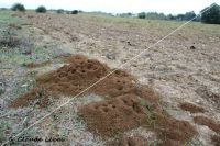 terre évacuée après la pluie